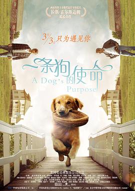 狼狼狼色精品视频在线播放