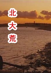 免播放器在线观看