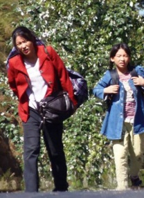 我的邻居夫人