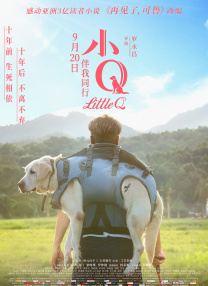 久久精品视频亚洲