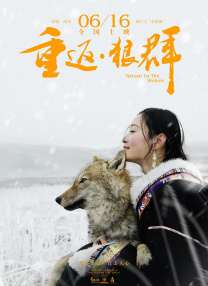 妈妈的姐姐