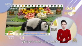 新的爱